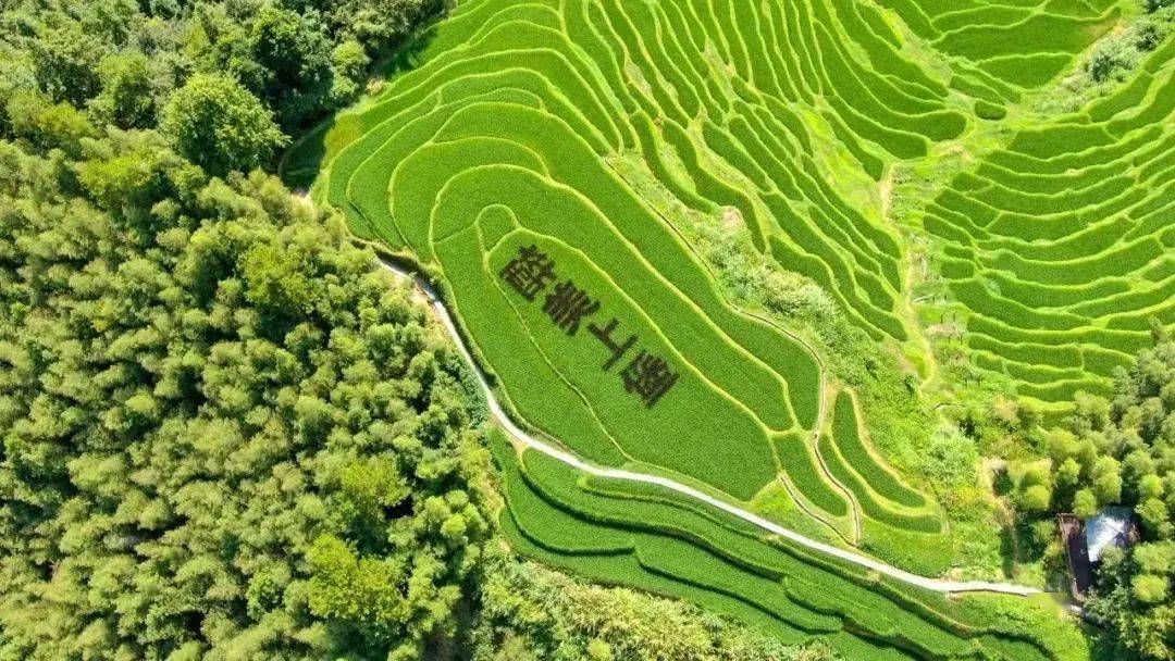 上堡梯田活动内容:游客在小镇元宝山下向自己的爱人告白后,把告白的