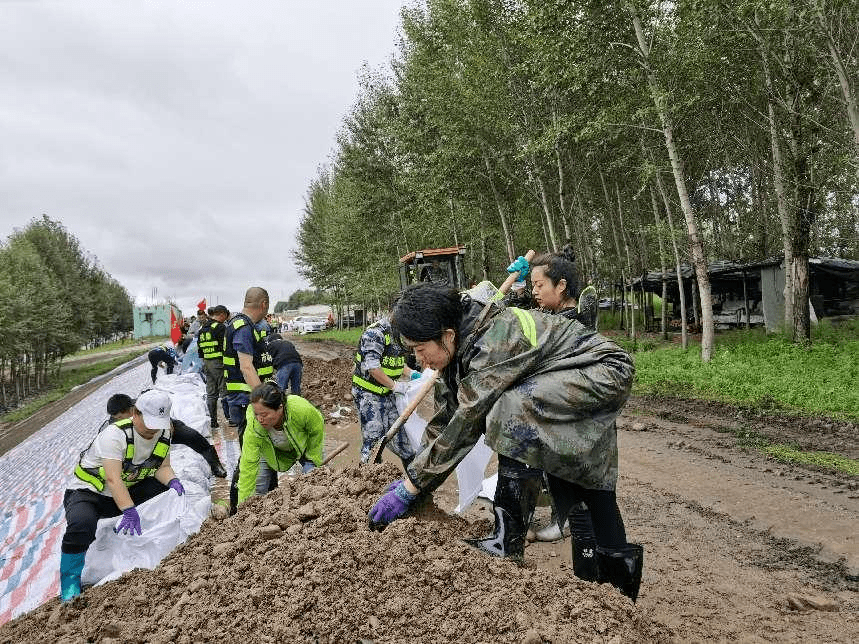 黑龙江:灾后重建按下"加速键"_工作_尚志市_生活