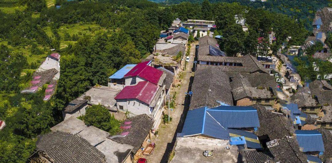 以庭院小美聚合乡村大美_太平村_建设_家庭