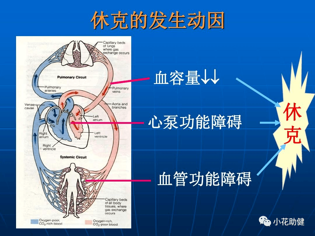 创伤失血性休克的应对及护理措施_监测_治疗_组织