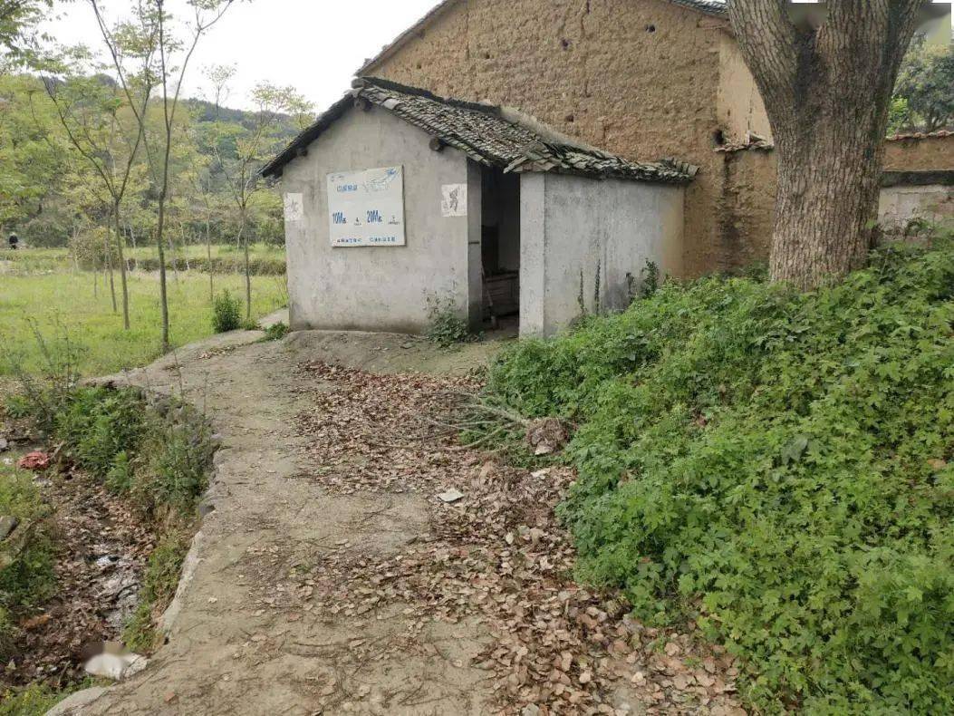 微改造·精提升 | 兰溪市马涧镇:乡村"微改造",点亮民生"小确幸"_游客