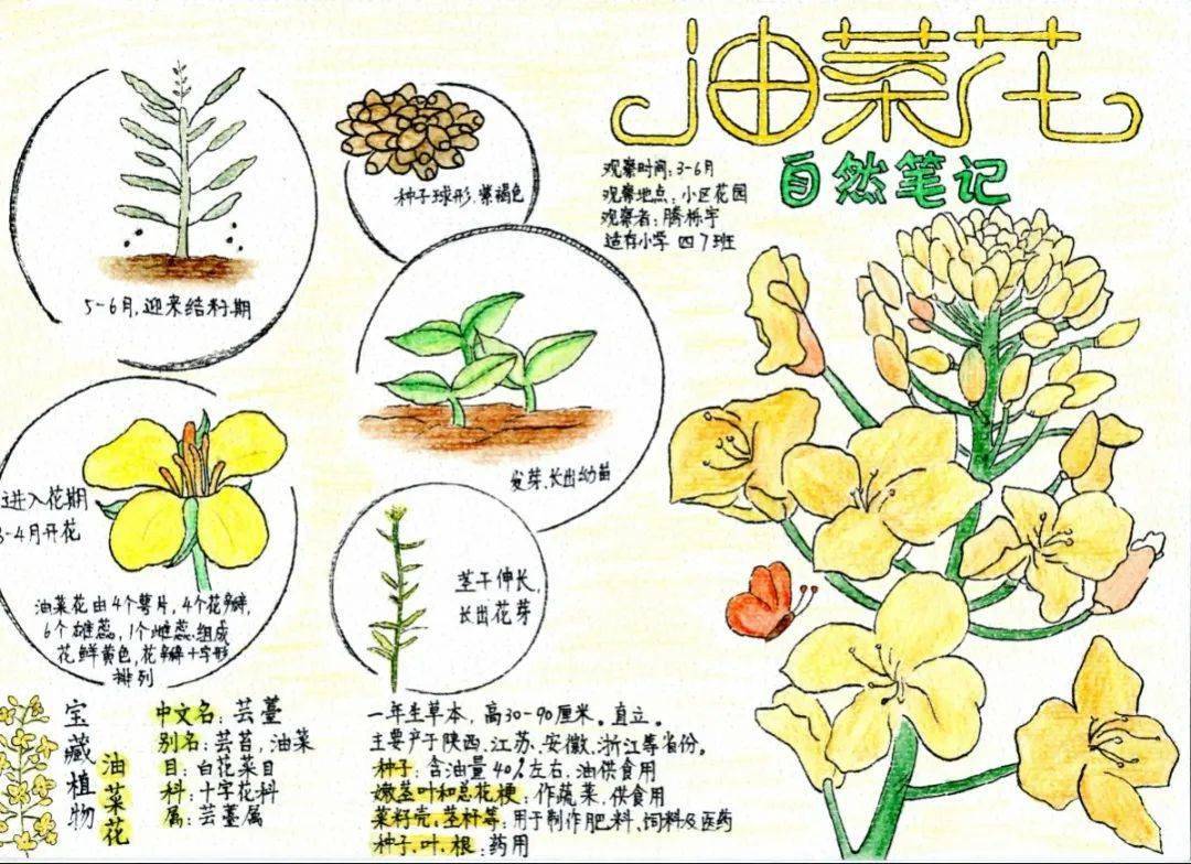 上海动物园自然笔记征集结束_市民_部分_生态