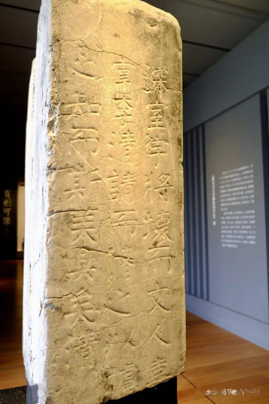 这个考古与古代艺术入门展,推荐给小朋友 | 浙江大学艺术与考古博物馆