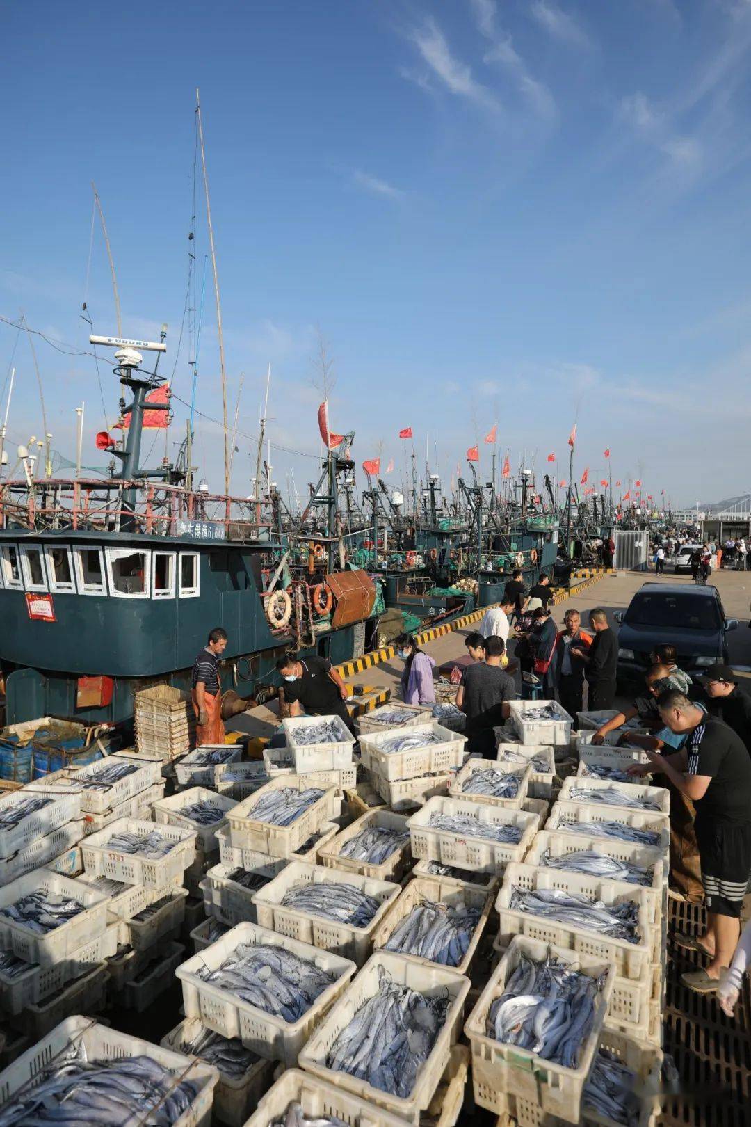 码头内一片喧闹返航归来的小渔船上鱼虾满仓随处都能见到新鲜海鲜上市