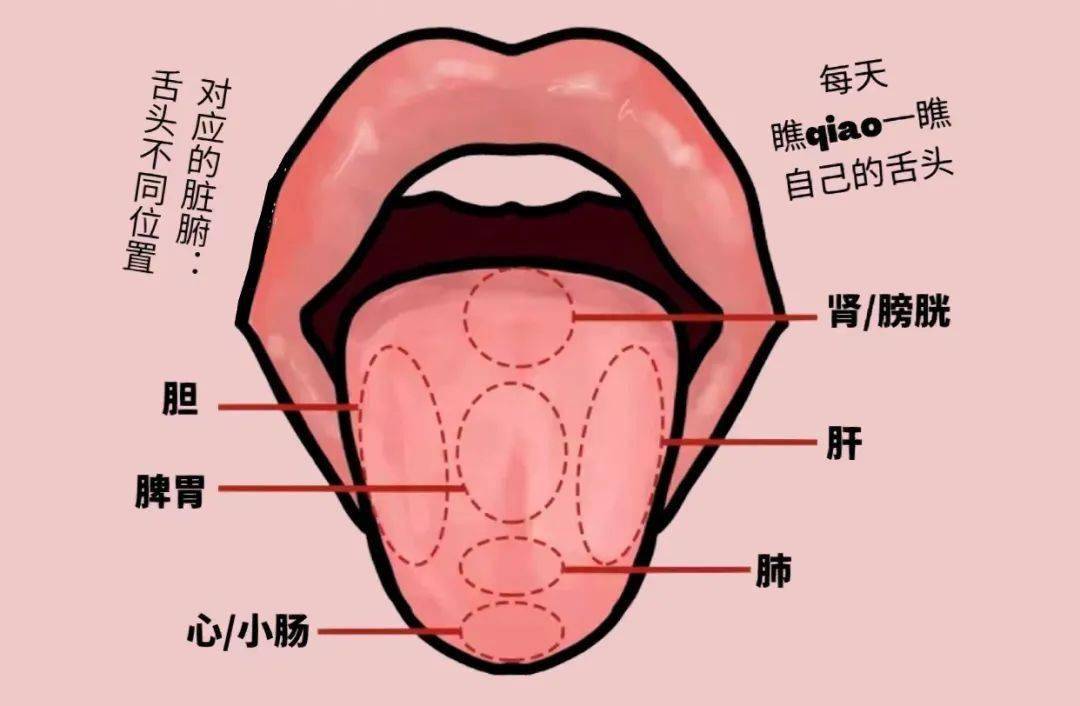 舌头出现这种信号,暗示身体出了大问题,很多人都不知道!