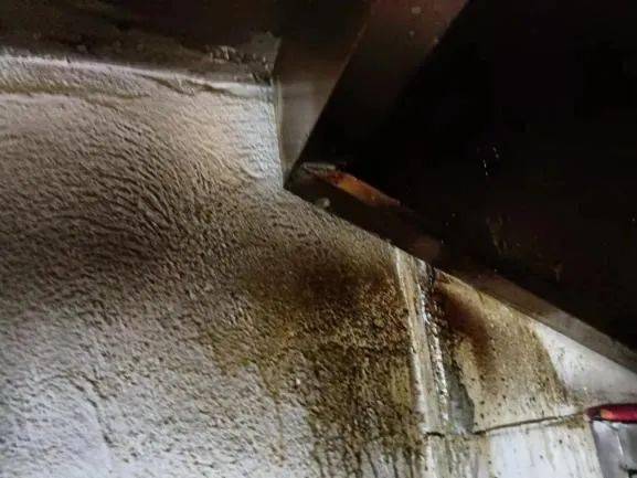 营业执照名称:龙港市老友谊饭店