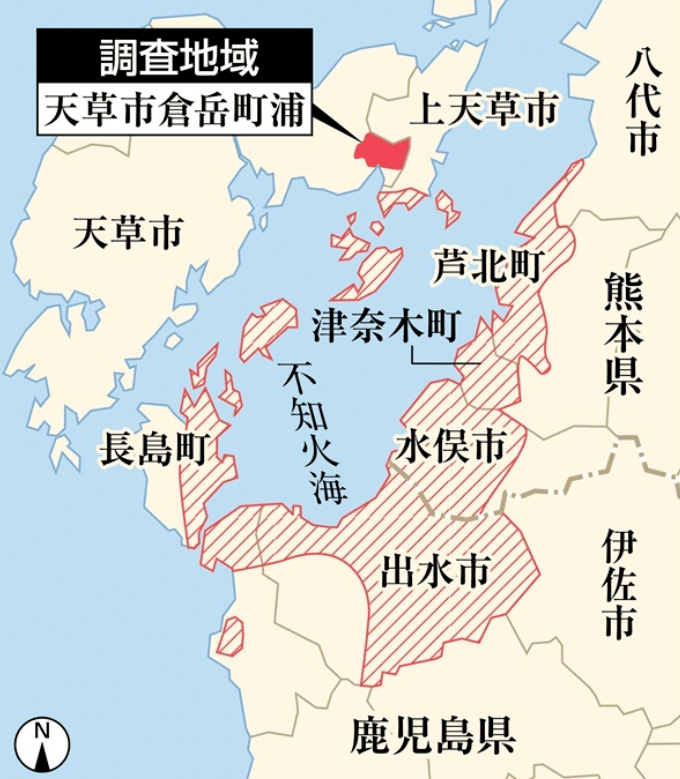 熊本县水俣病图片