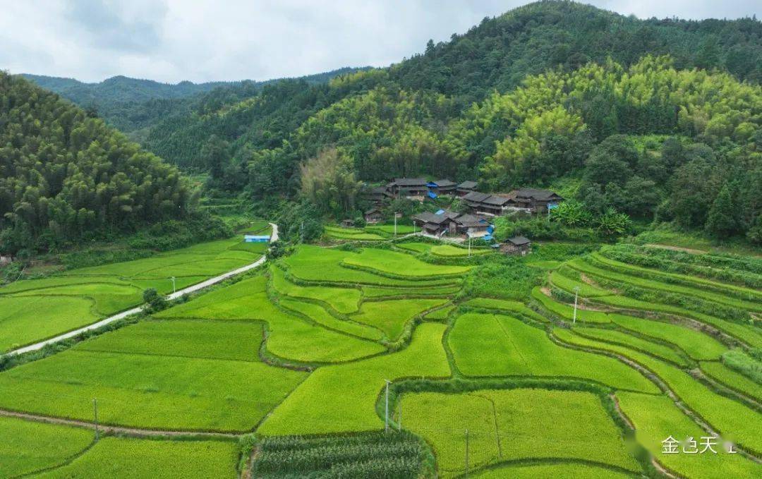 一座桥一条渠两省情深——天柱县地湖乡共建共享开新局_湘黔_群众