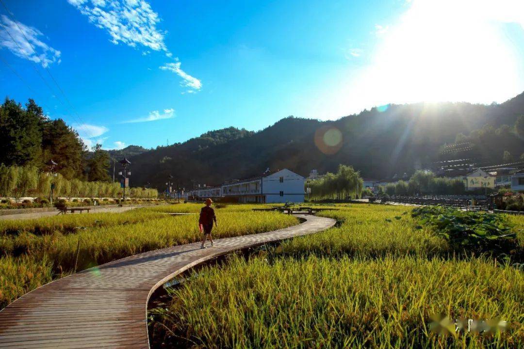 点赞丨汉阴县双河口镇三柳村入选2023年中国美丽休闲乡村_建设_全省
