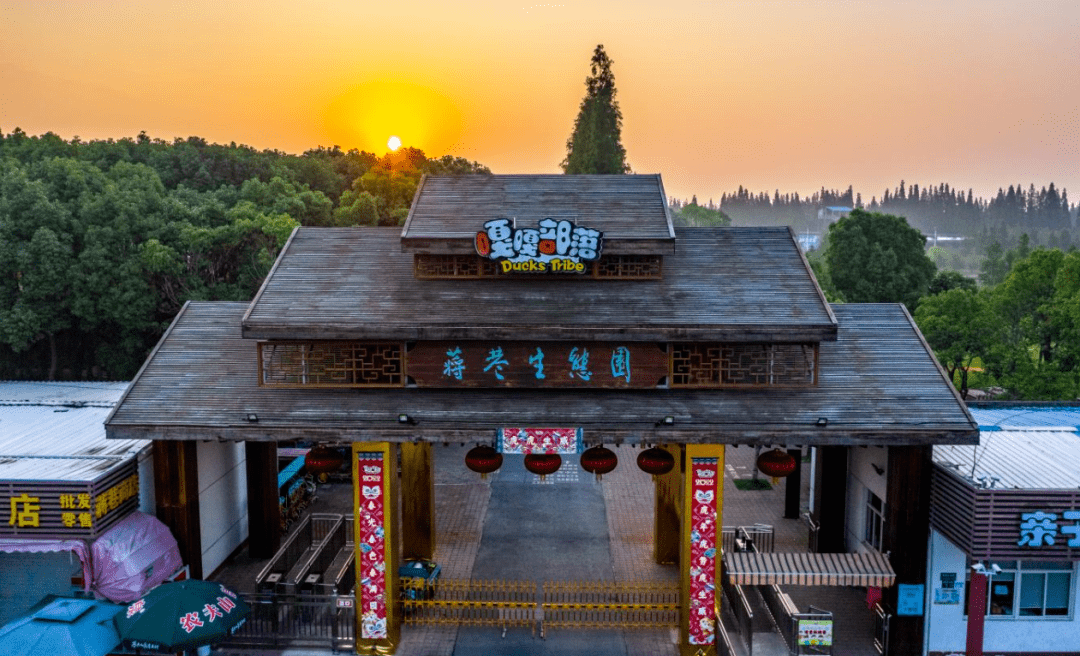 走向共同富裕 | 家乡蒋巷这个共同富裕的村庄,我已去过四次,看来还得