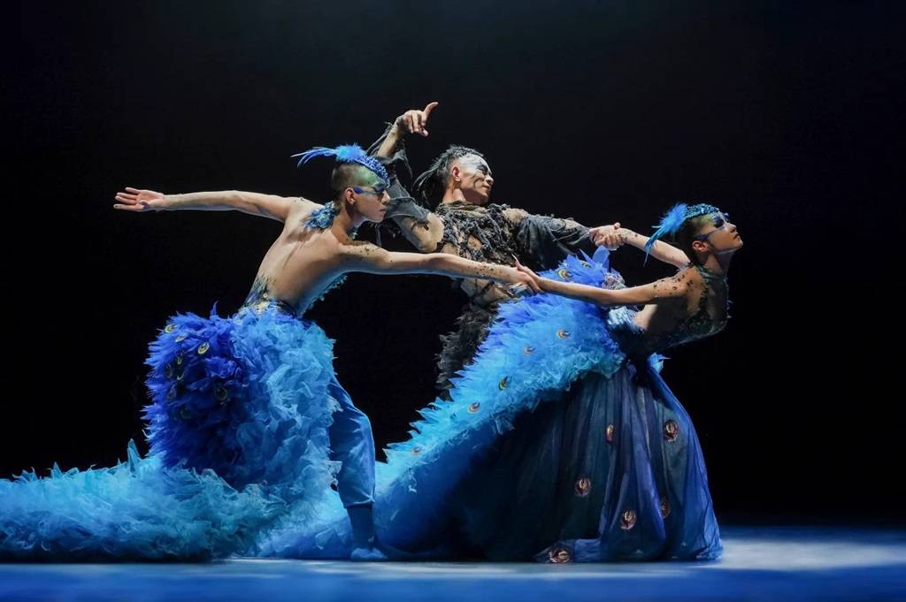 携舞剧《孔雀》再度来沪 杨丽萍:跳舞是有感而发_生命_上海大剧院