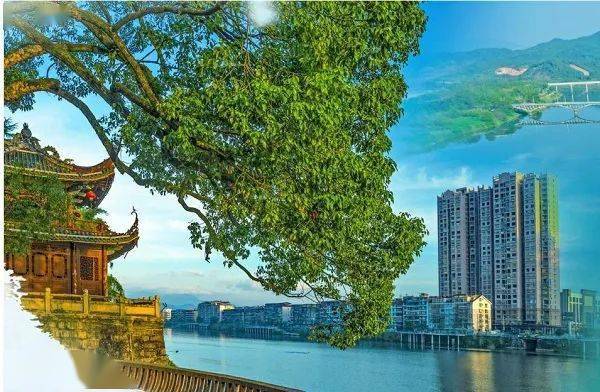 邵武市:千年古城的新时代治水故事_拿口镇_河湖_水质