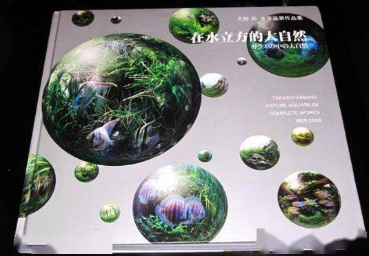 ada到底有什么不一样?天野尚草缸,自然水景缔造者!_title_造景_水草