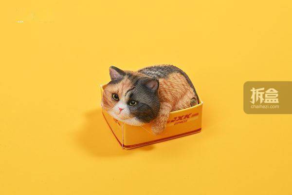 0 网红可爱橘猫懒猫宠物摆件手办_出货_官方_纸盒