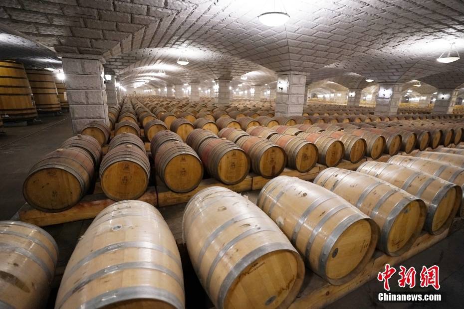 甘肃嘉峪关:亚洲最大的葡萄酒单体酒窖飘香