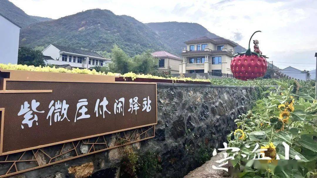 丛生紫薇修剪图片大全大图高清版