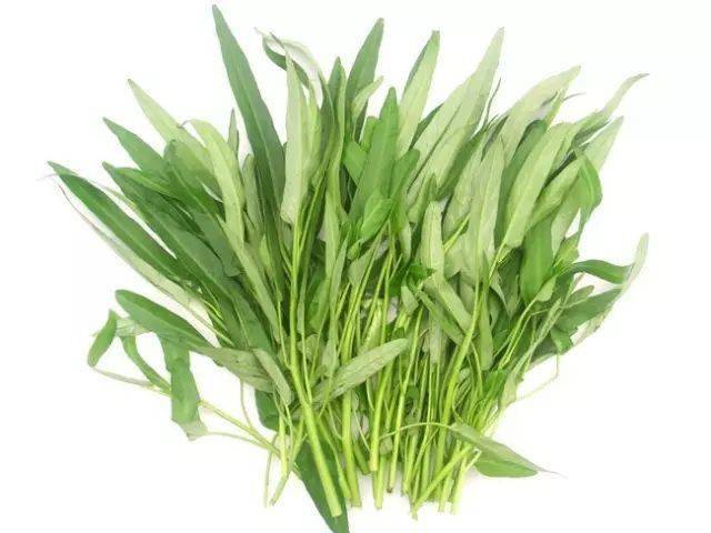 一些你不大能说出英文名的蔬菜_gourd_lettuce_sea