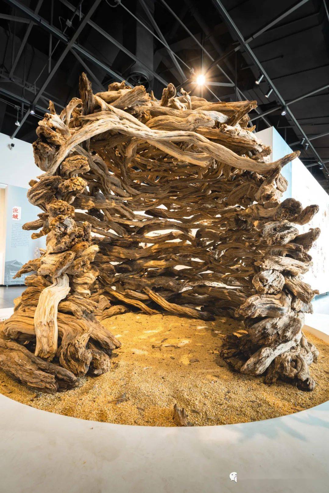 ▽只靠一根根弯曲的梭梭木搭起不用一根绳,一颗钉子阿拉善牧民的杰作