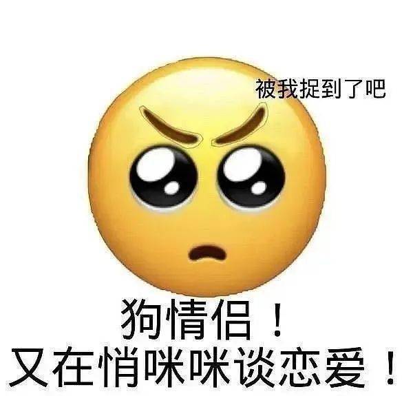 加入聊天表情包群】目前100000 人已关注,每天更新记得来看哦沙雕熊猫