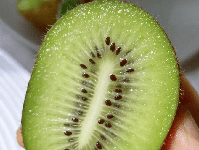 陕西武功翠香猕猴桃甜甜甜,爆汁!_种植_技术_维生素