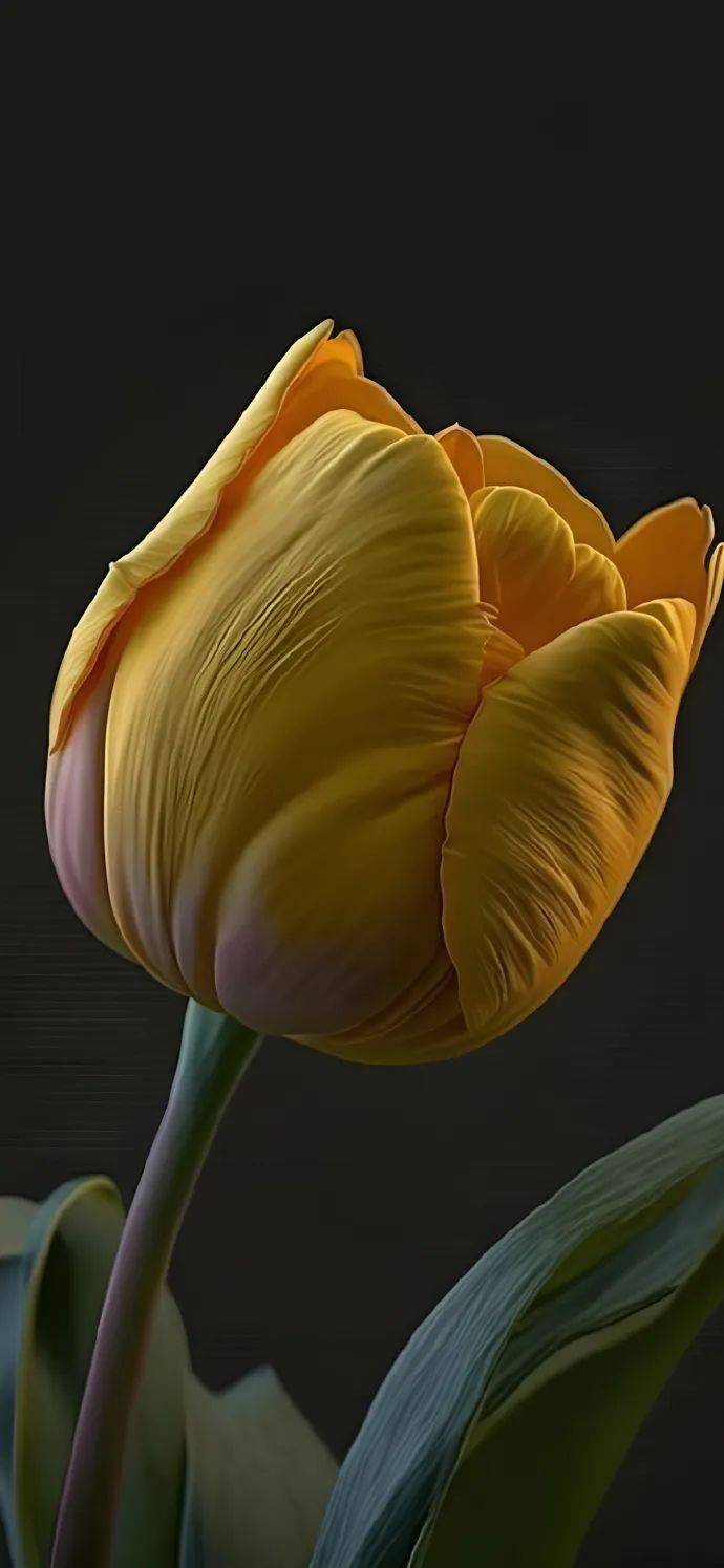 壁纸| 滴滴更新锁屏壁纸啦