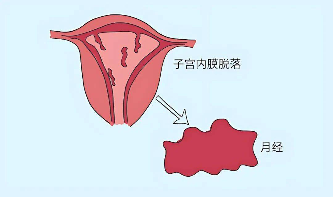 排毒养颜吃女人药有用吗_女人吃什么排毒养颜_女人排毒养颜吃什么药