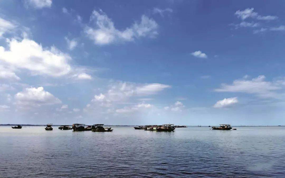 遂溪江洪渔港图片