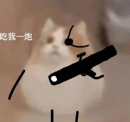 打劫猫猫表情包_熊猫头_文章_公众
