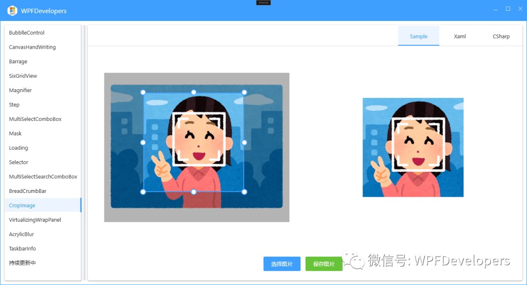 WPF 实现裁剪图像_Canvas_Border_Type