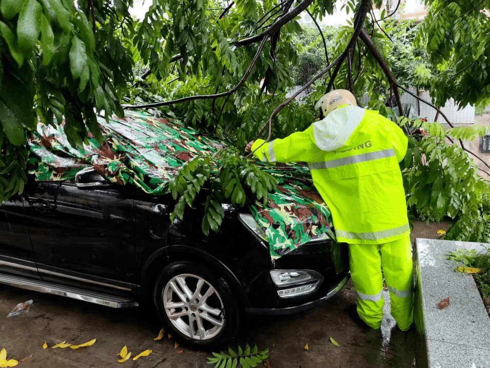 多图直击佛山暴雨!今天,佛山人都在乘风破浪._西樵_小时_历史
