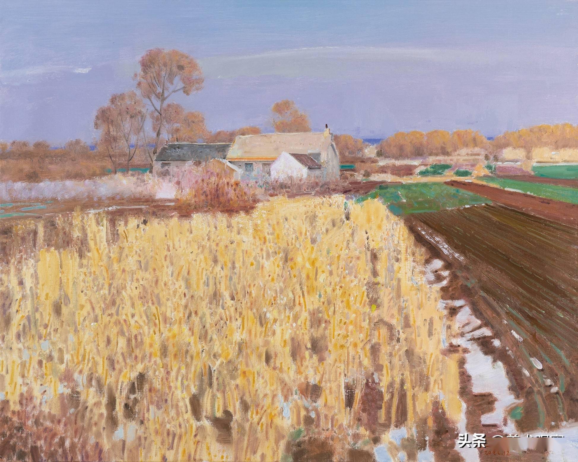 减速的风景——读王力克新作