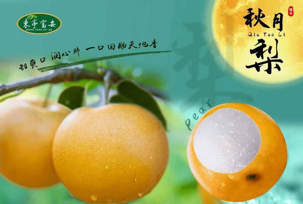 喜大普奔!“东亭富安”秋月梨荣获“中华好梨”称号_发展_技术_绿色