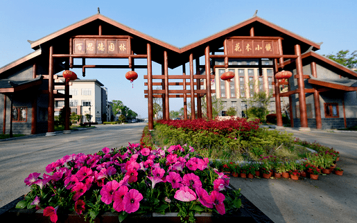 寻找沿途的真挚浪漫|520安徽文旅惠民消费季_景点_travel_旅游