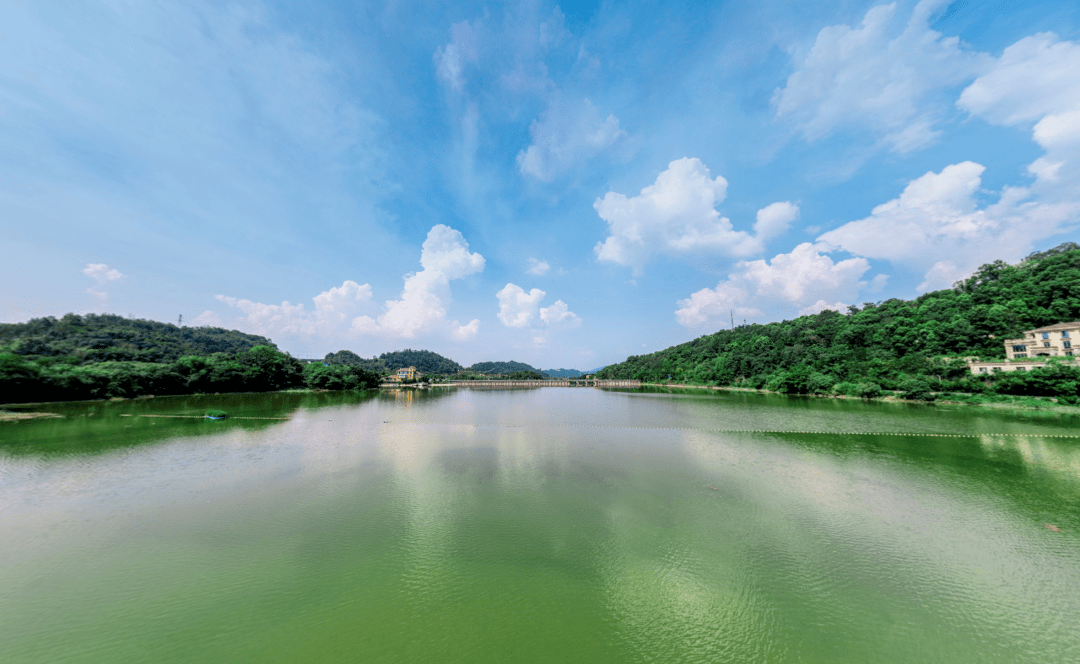 vr畅游美丽重庆!今天我们去迎龙湖湿地公园~_保护_工作_水库