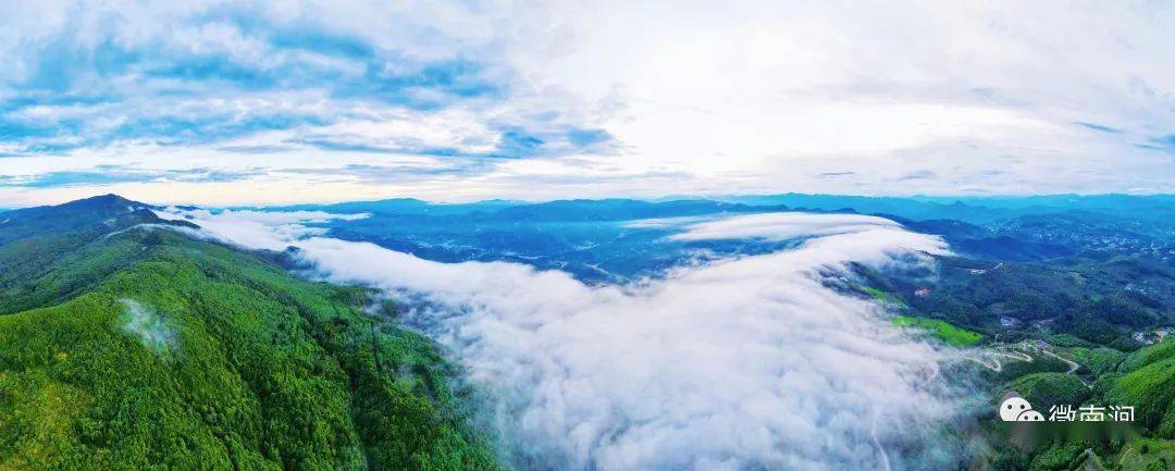 云南无量山国家级自然保护区南涧管护局启动2023年鸟类环志工作