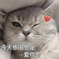 酷爽射门