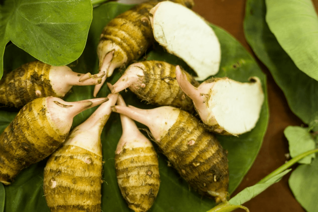 【百县百款土特产推介】抚州市:无法拒绝的土特产,你买过哪些?