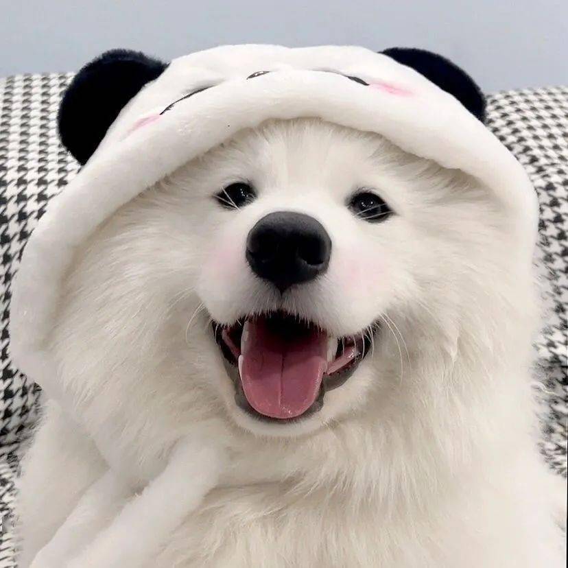 363436373039头像 | 心仪已久的ins头像_姚姚_meme_cr