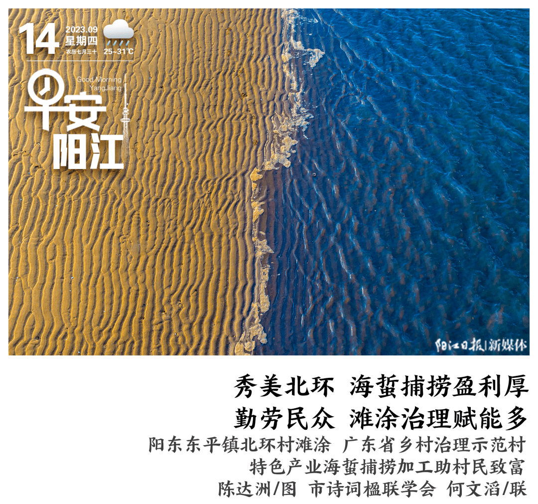 早安,阳江 | 阳东增设6处电子监控,10月1日起正式抓拍!_工作_科普活动_宣传周