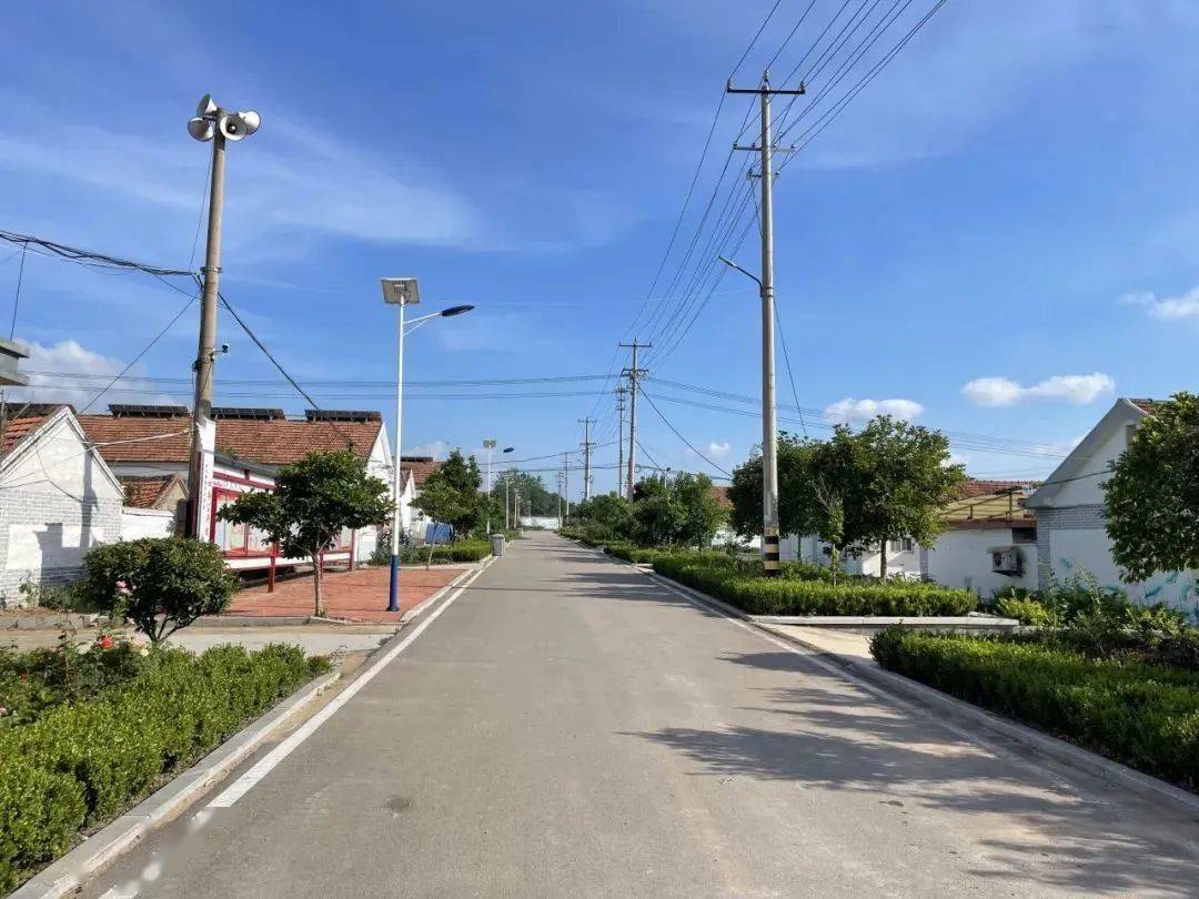 【倡树美德健康新生活】诸城市皇华镇人居环境成果展示_整治_工作