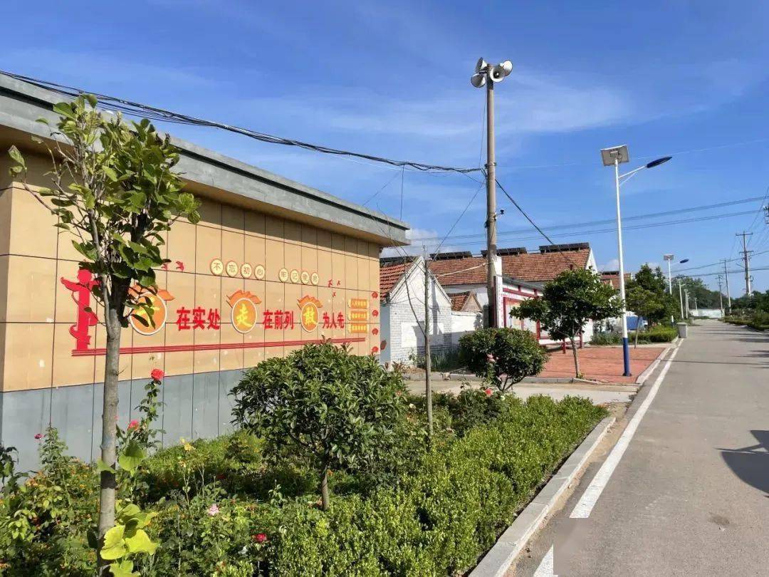 【倡树美德健康新生活】诸城市皇华镇人居环境成果展示_整治_工作