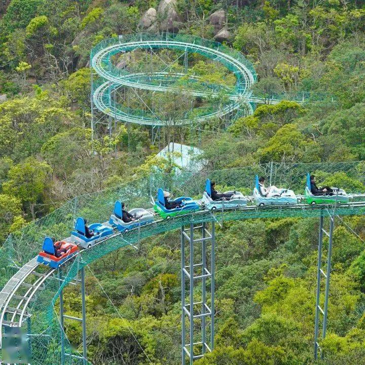 国庆来梅花山虎园打卡"新地标",超多优惠等着你!_项目_龙岩_索道