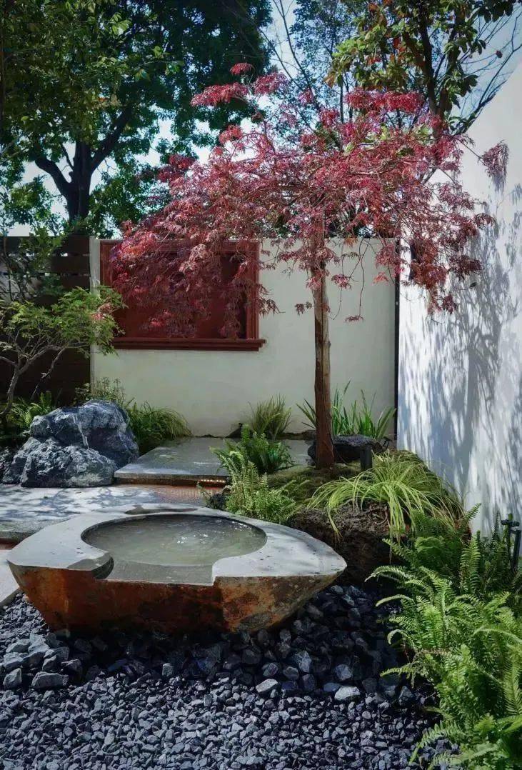 杂木庭院 |营造自然舒适的庭院环境_植物_树木_空间