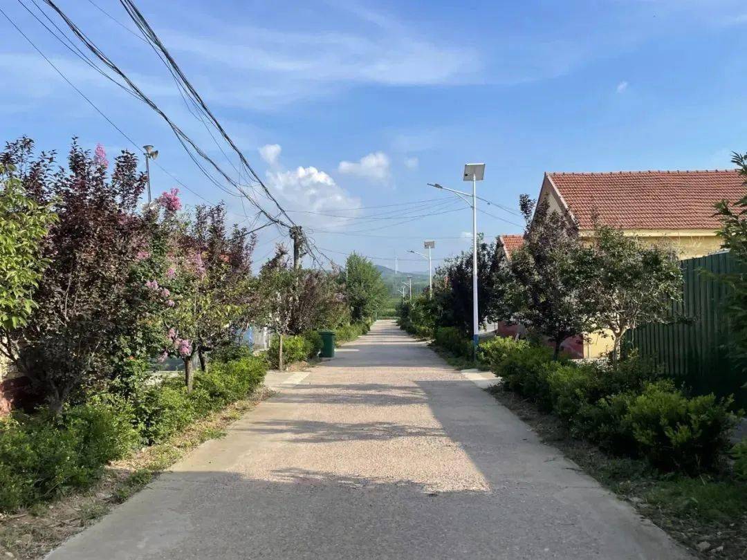 【倡树美德健康新生活】诸城市皇华镇人居环境成果展示_整治_工作