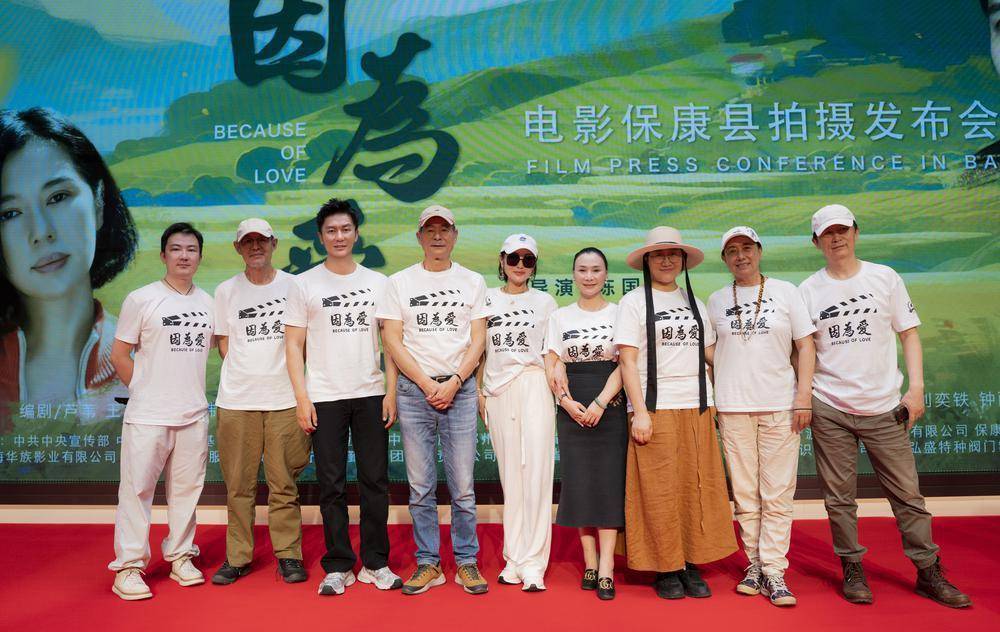 芦苇编剧,电影《因为爱》预计12月进行公映宣传_爱情_影片_曹久平