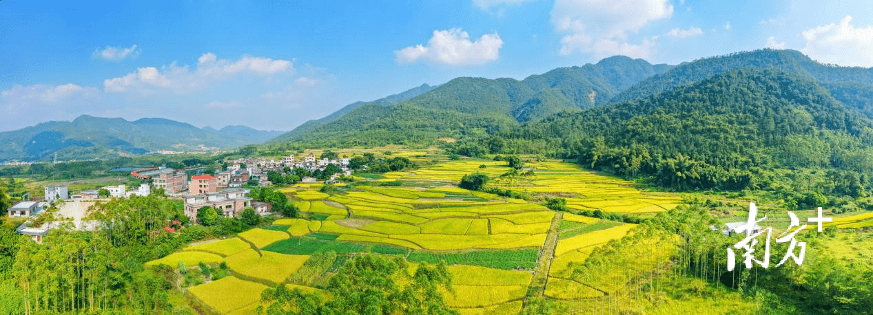 三台县前锋镇图片