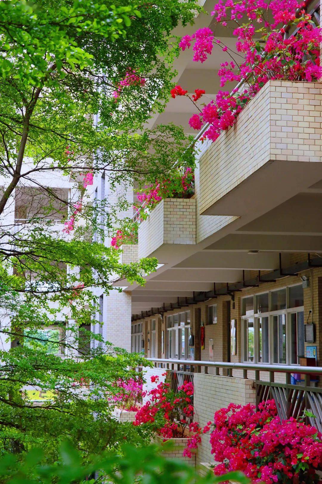 公办入编 | 东莞市可园中学教师招聘意向报名_扫描_信息_毕业生