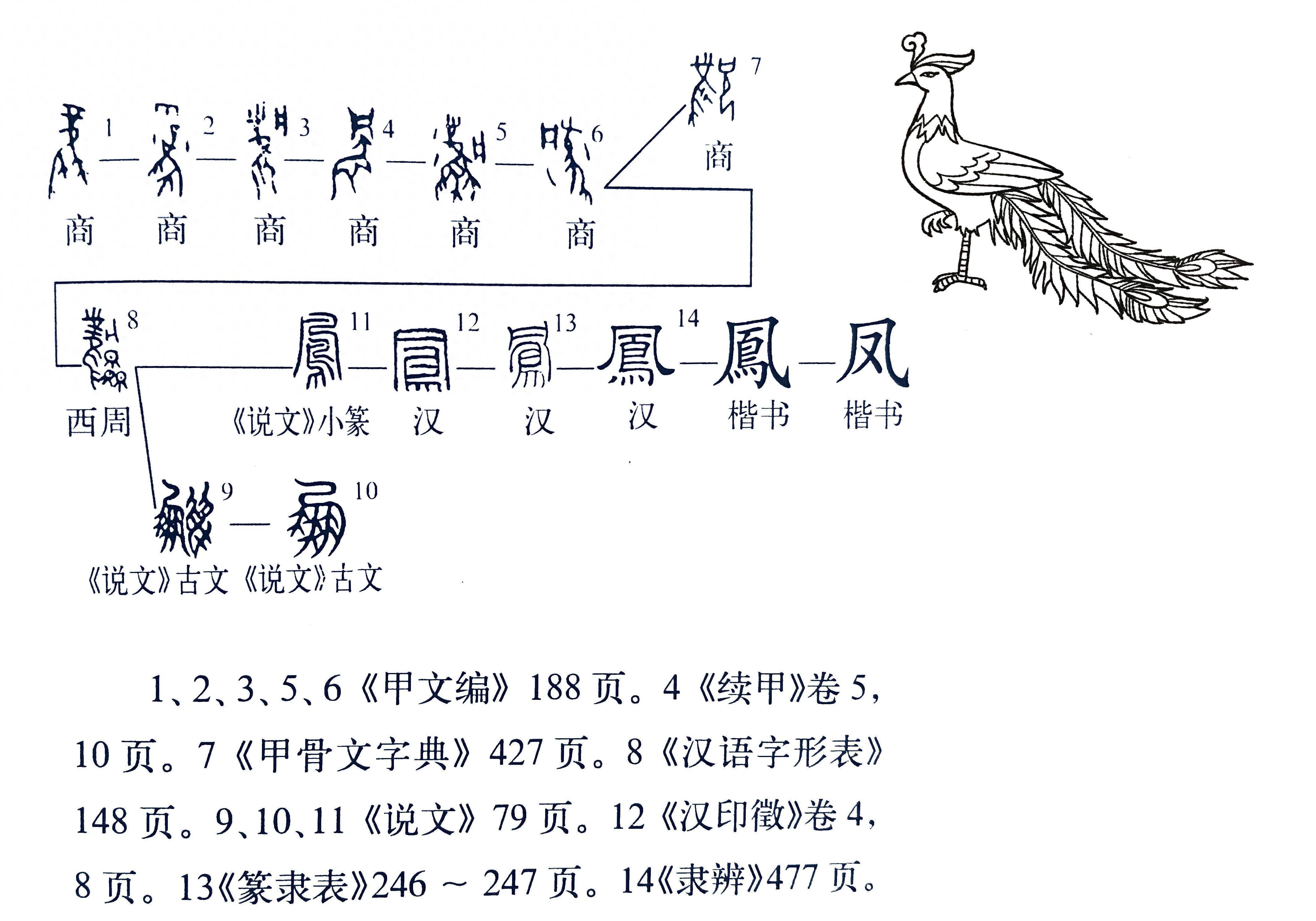 关于凤的字形演变