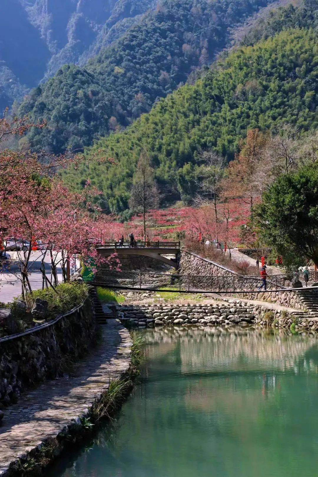 平阳县水口村风景图片