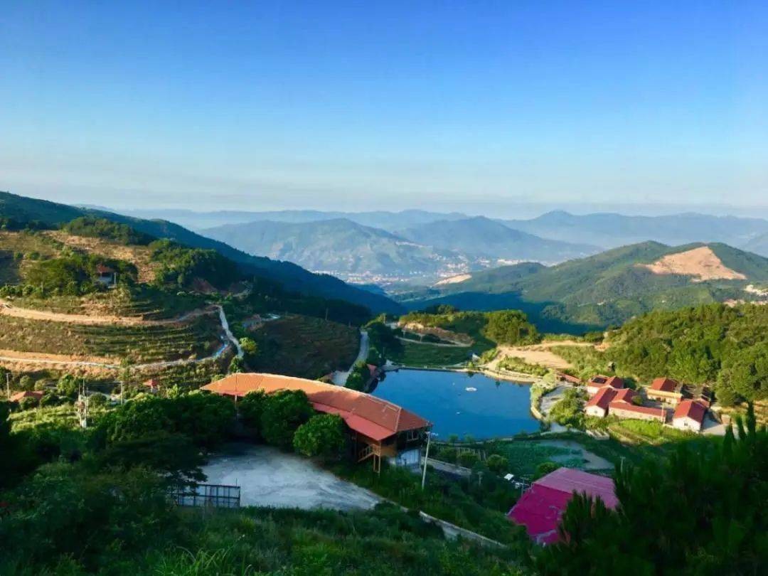 南安市眉山乡观山村:以"生态"之笔绘就乡村振兴"绿色答卷"_文化_农村